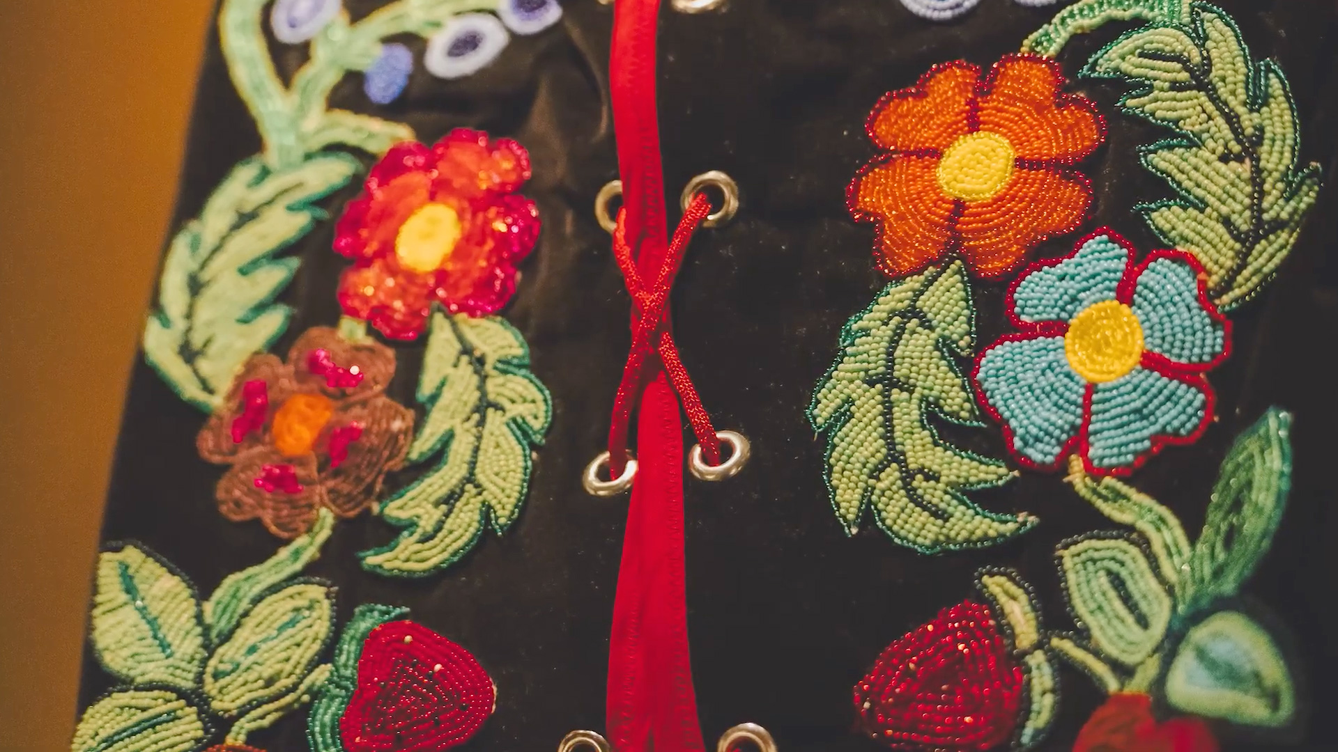 Video: Indigenous Education Initiative Overview